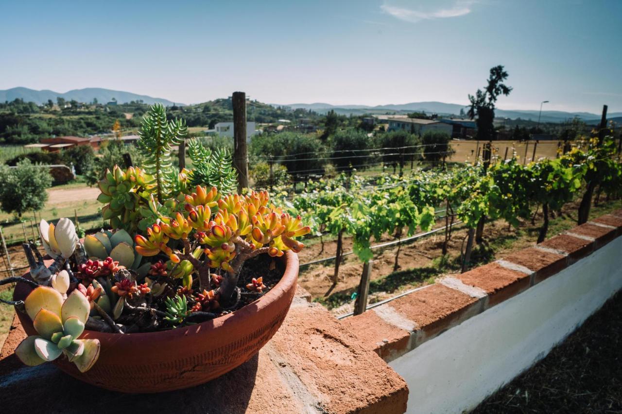 Quinta Sofia Valle De Guadalupe (Adults Only) Екстер'єр фото