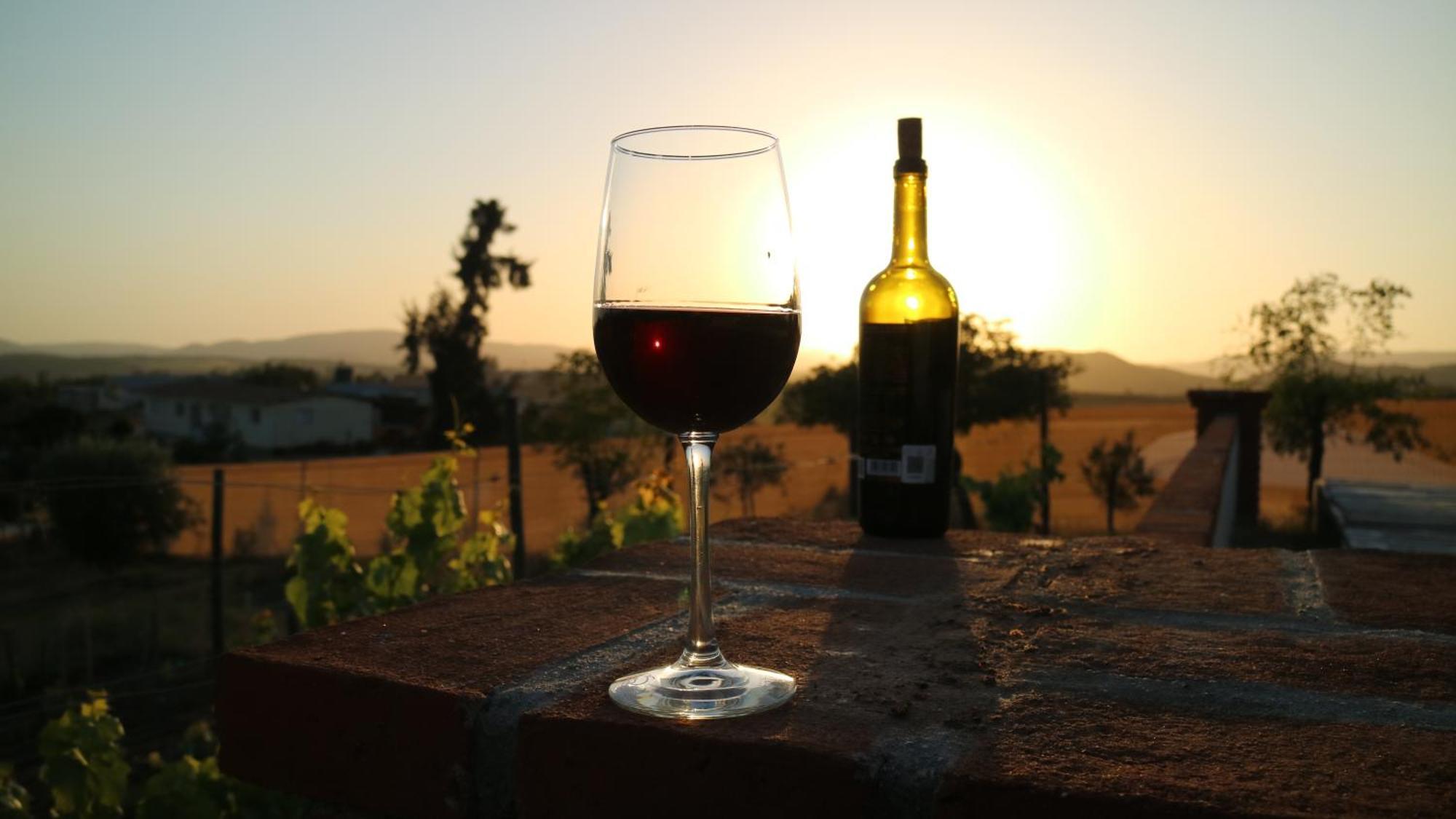 Quinta Sofia Valle De Guadalupe (Adults Only) Екстер'єр фото