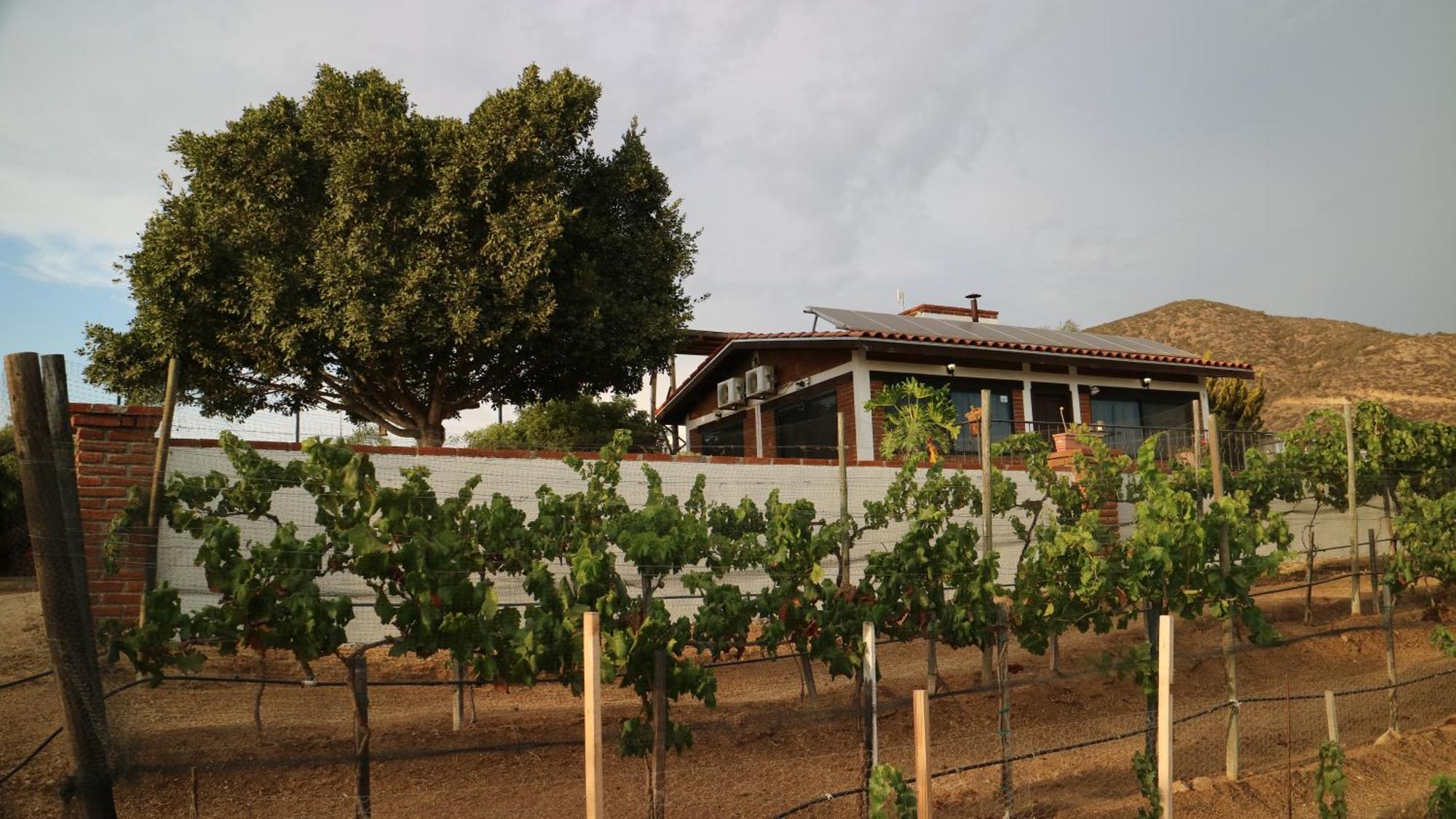 Quinta Sofia Valle De Guadalupe (Adults Only) Екстер'єр фото