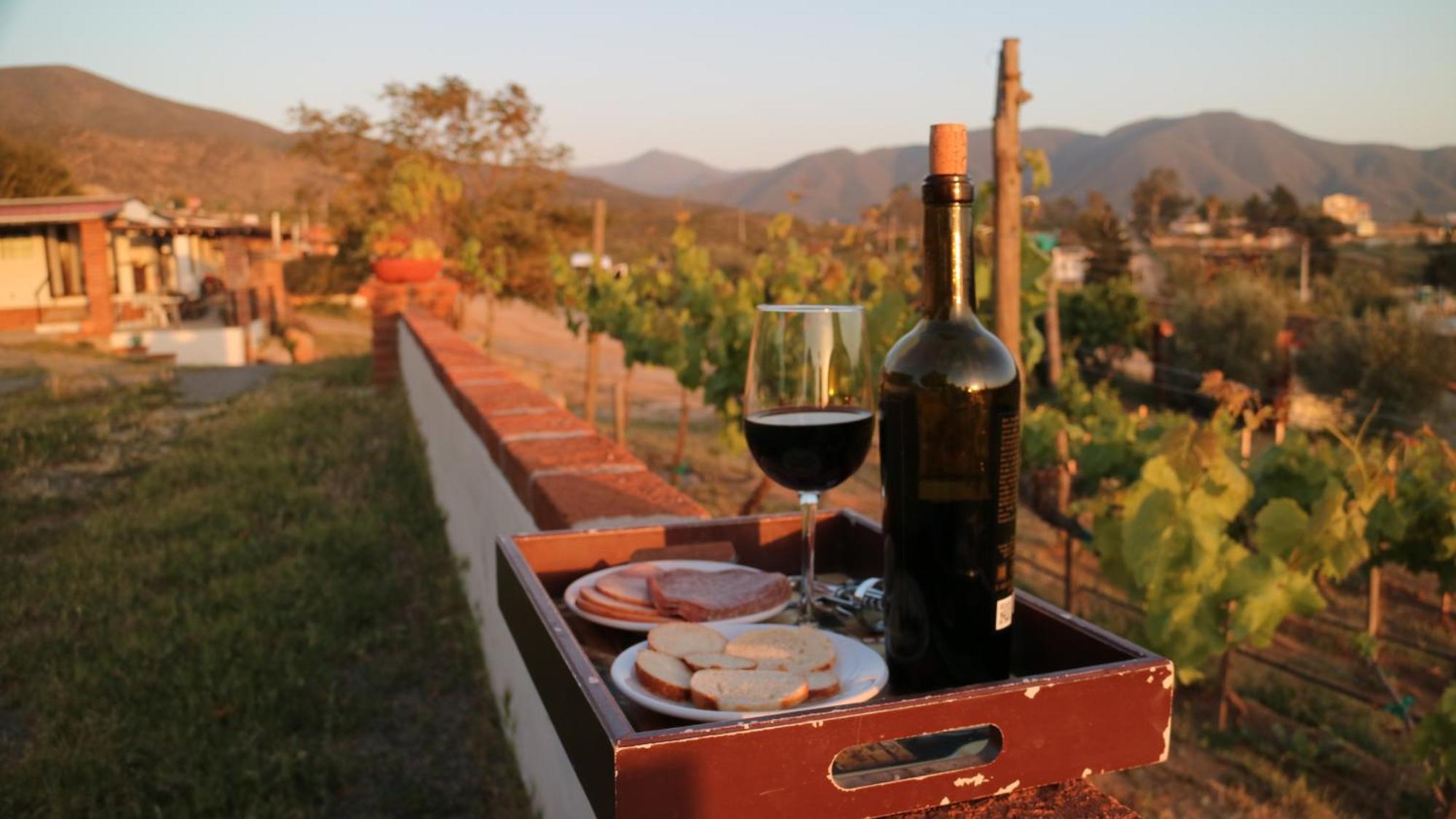 Quinta Sofia Valle De Guadalupe (Adults Only) Екстер'єр фото